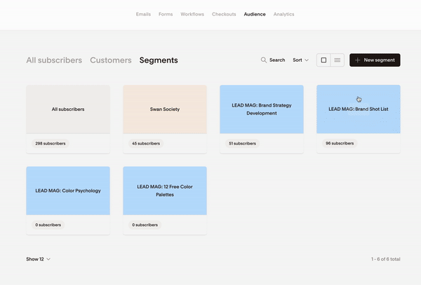 creating a segment in email marketing platform Flodesk